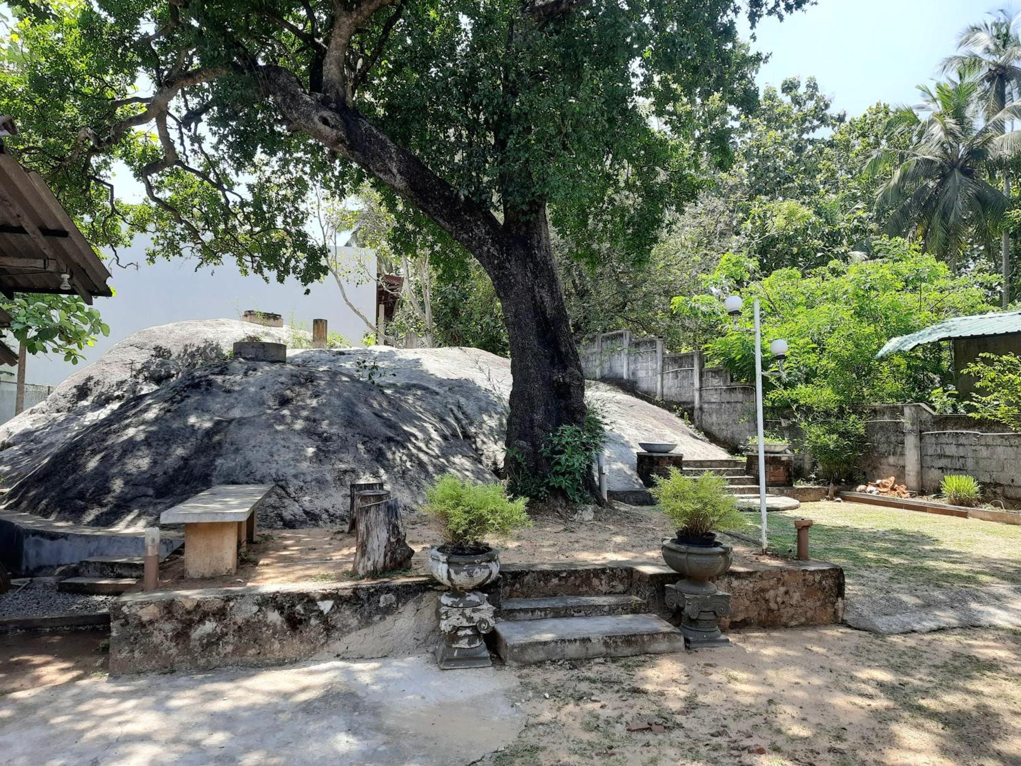 Selagala Resort Anuradhapura Buitenkant foto